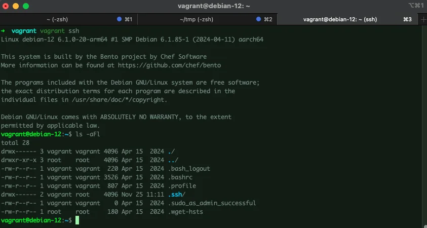 Vagrant ssh to connect to VPS